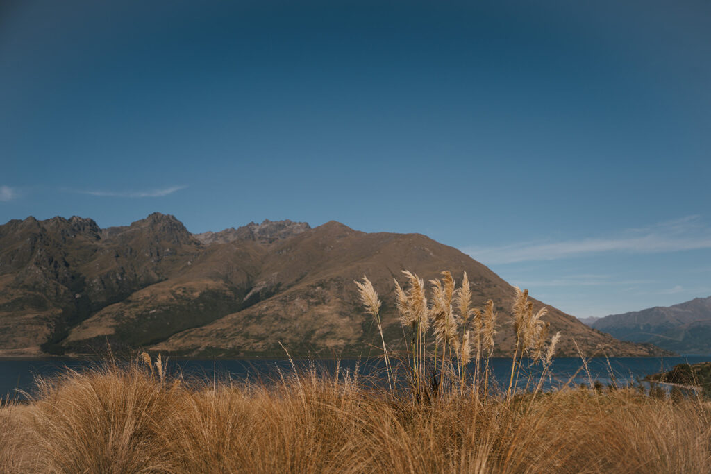 Strong Demand Sees Stage 1A and 1B Sell Out at Homestead Bay